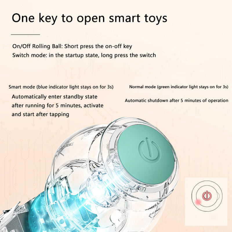 Interactive Pet Ball Toy