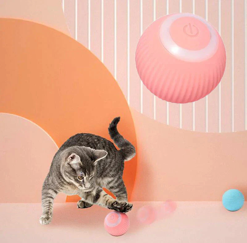 Interactive Pet Ball Toy