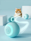 Interactive Pet Ball Toy