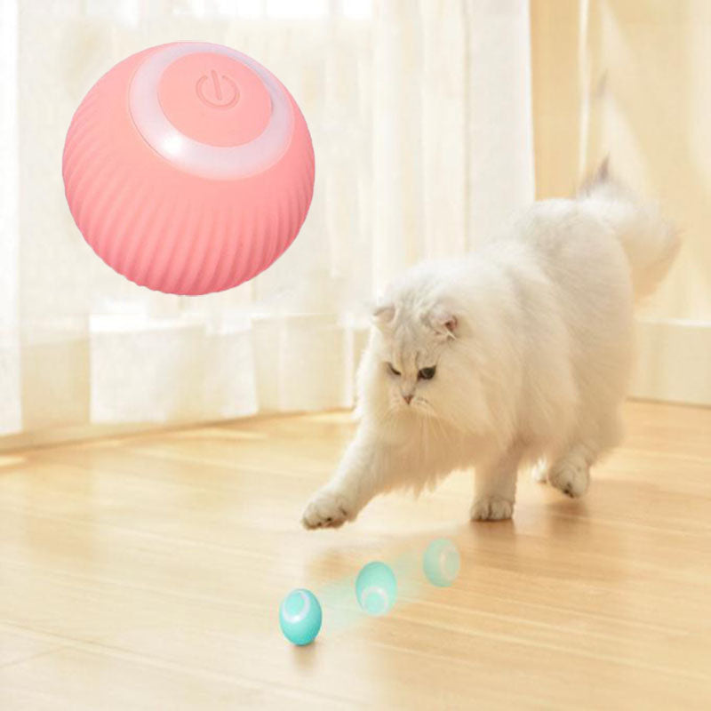 Interactive Pet Ball Toy