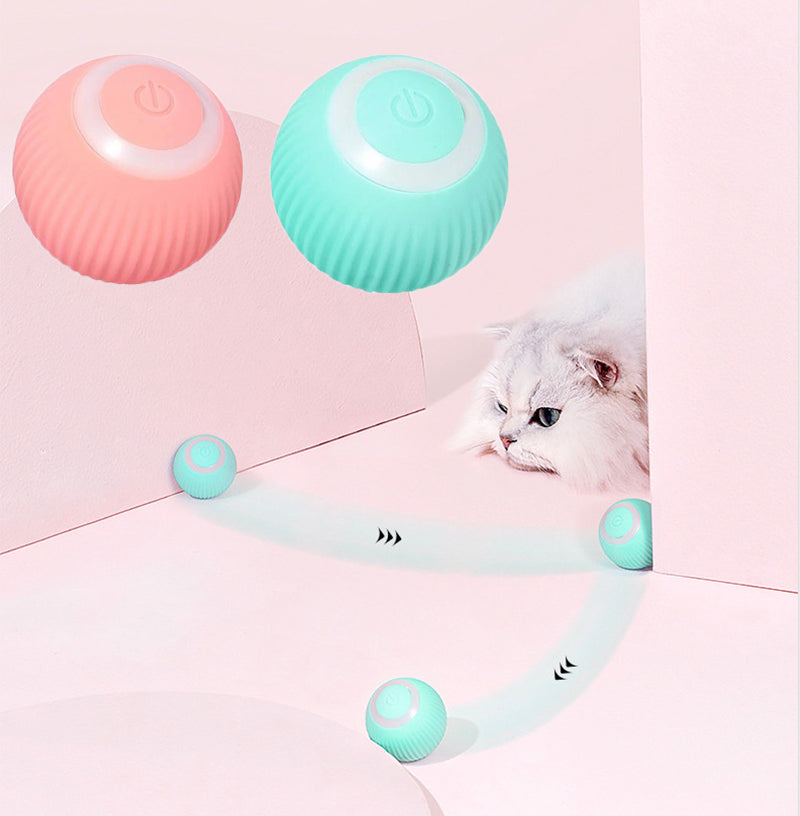 Interactive Pet Ball Toy